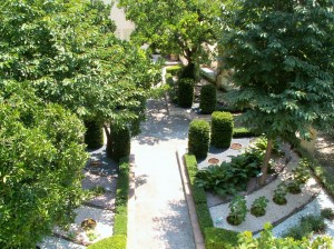 giardino-minerva 2 (2)
