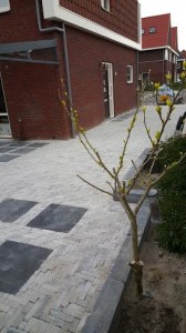 unnamed (5)